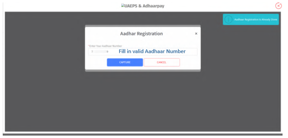 aadhar_pay